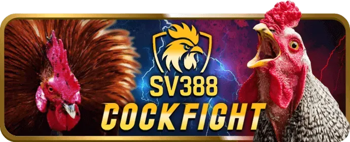 Trò chơi slot và nổ hũ tại fly88b